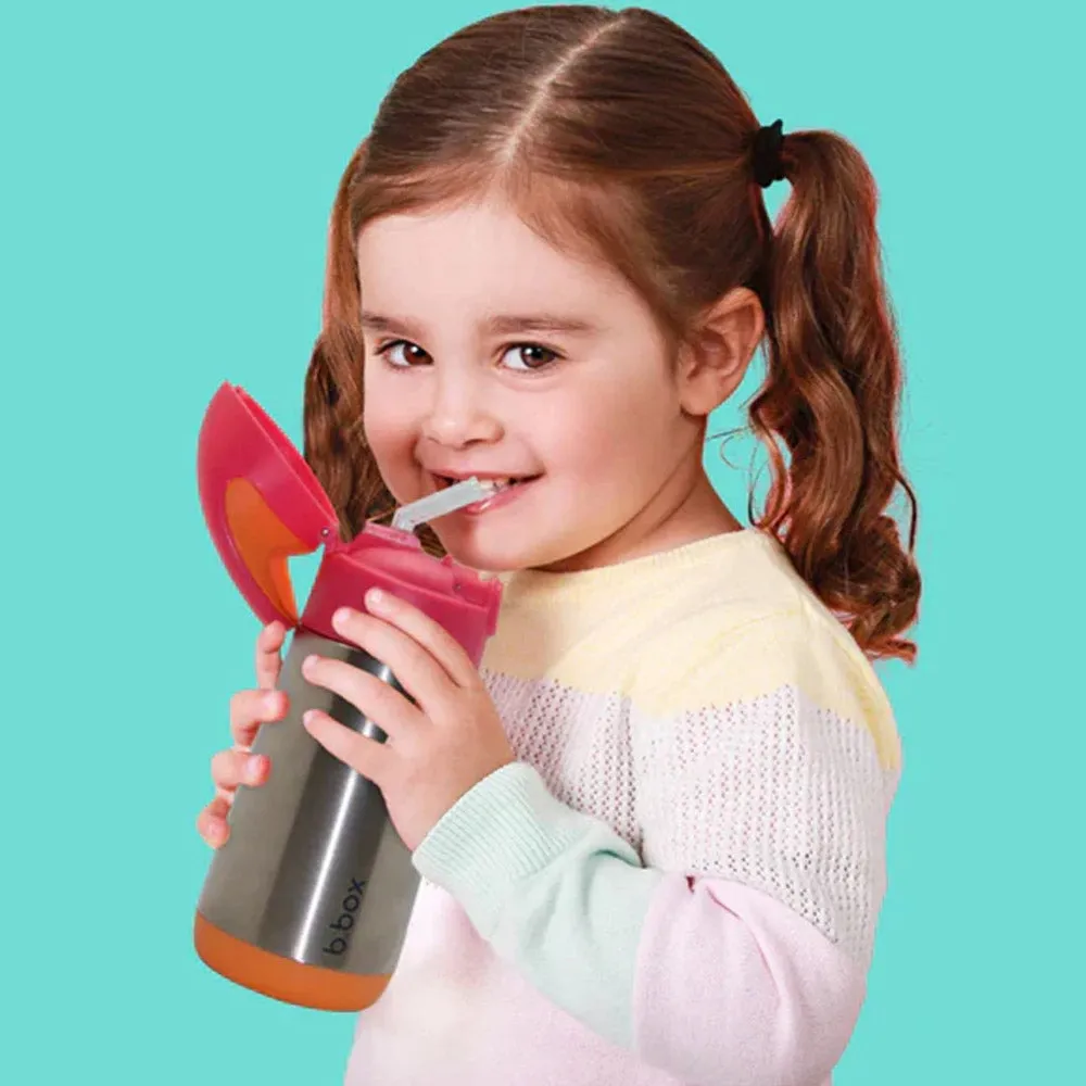 Insulated Drink Bottle Replacement Straw Top - Pack Of 2