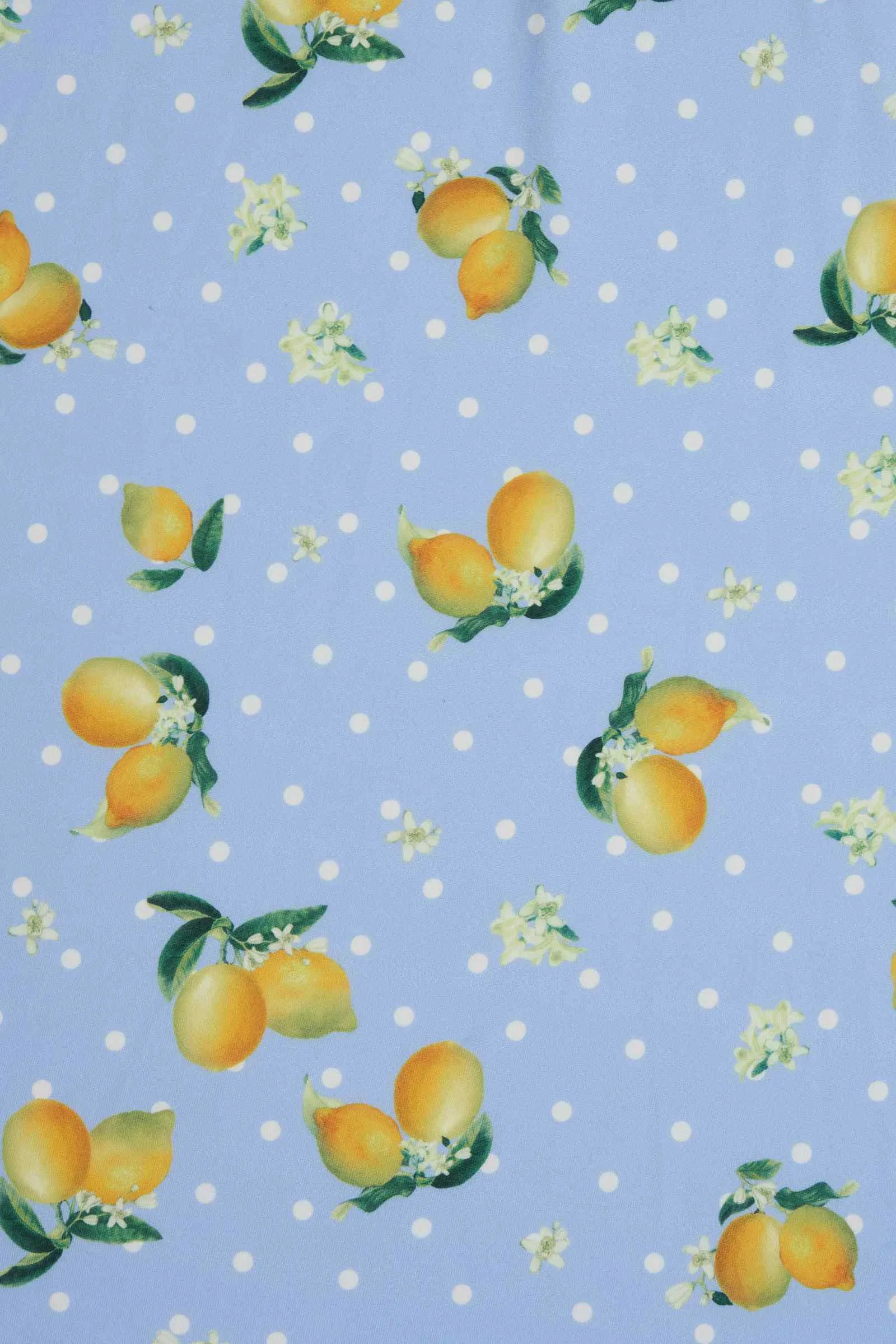 Janice Blue Lemon Petal Sleeved Tea Dress