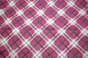 Plaid Picnic Fabric – Thin & Flowy Apparel Material | 54" x 3.5 Yards